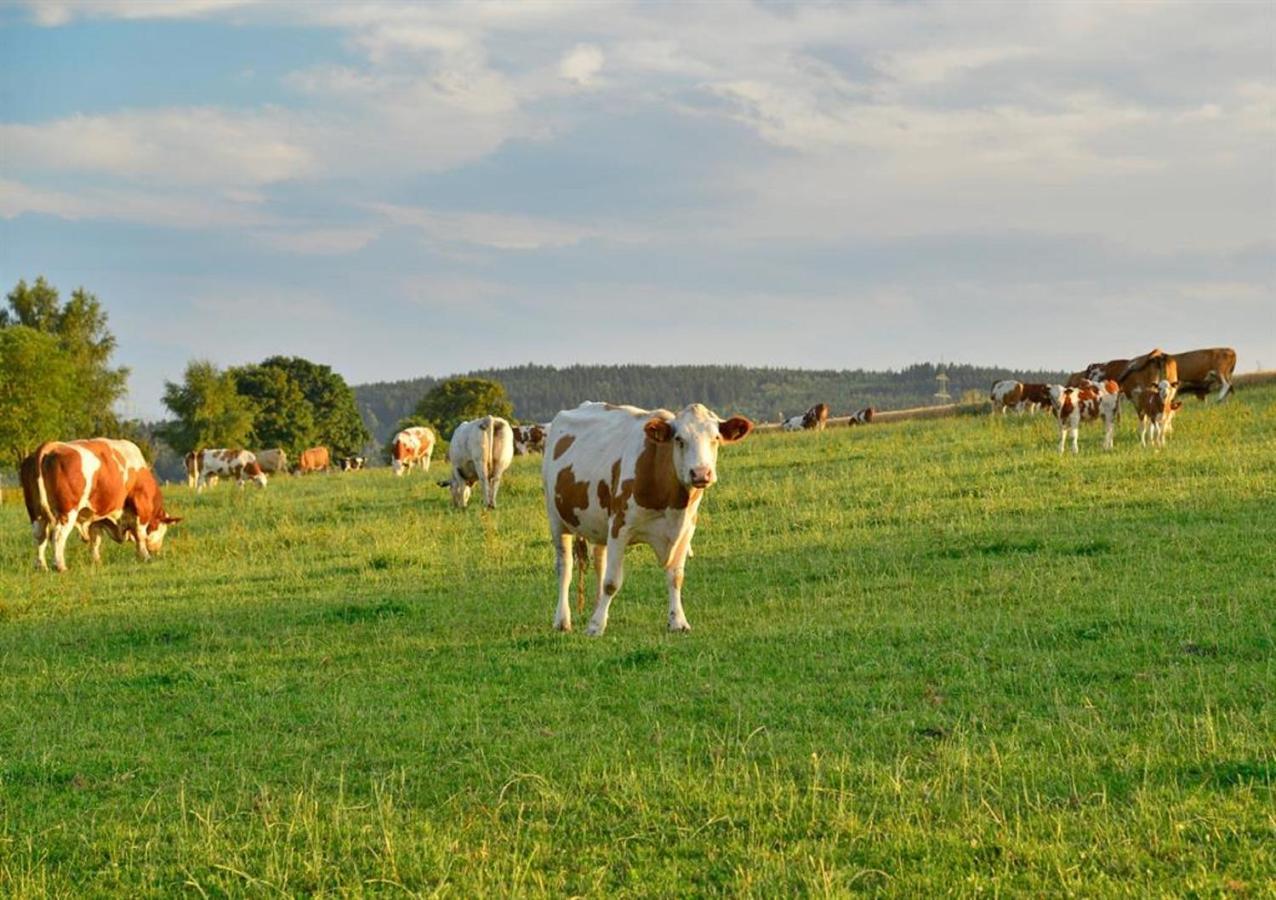 Ferienhof Kuerschner Drebach Экстерьер фото