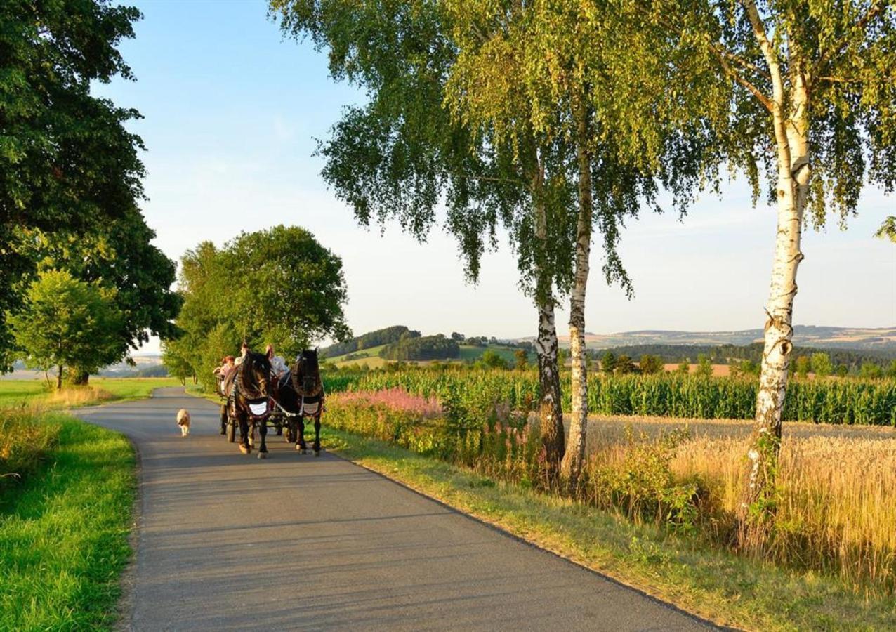 Ferienhof Kuerschner Drebach Экстерьер фото